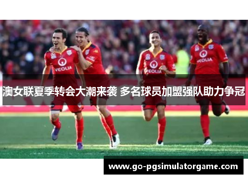 澳女联夏季转会大潮来袭 多名球员加盟强队助力争冠