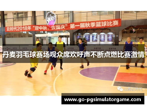 丹麦羽毛球赛场观众席欢呼声不断点燃比赛激情