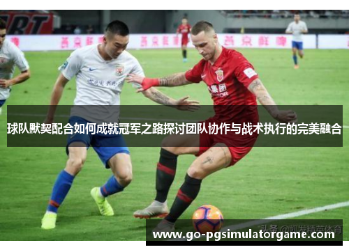 球队默契配合如何成就冠军之路探讨团队协作与战术执行的完美融合