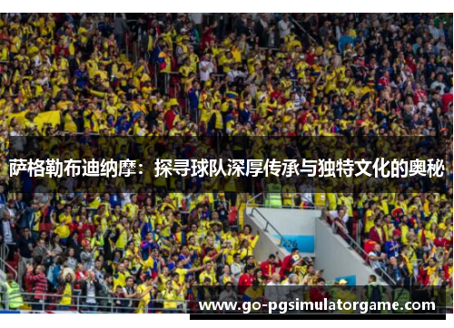 萨格勒布迪纳摩：探寻球队深厚传承与独特文化的奥秘