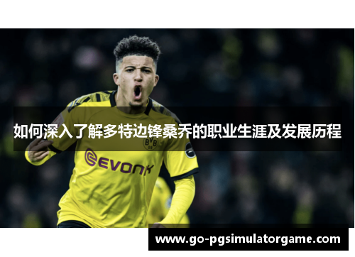 如何深入了解多特边锋桑乔的职业生涯及发展历程