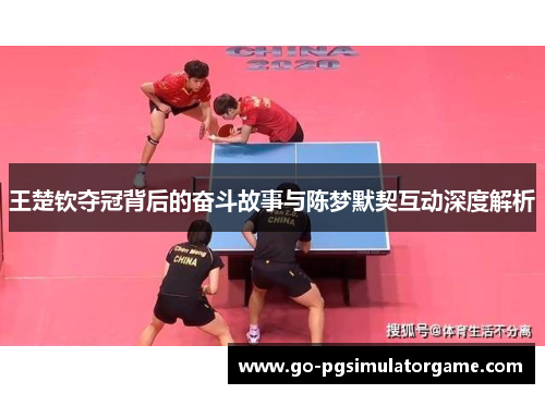 王楚钦夺冠背后的奋斗故事与陈梦默契互动深度解析