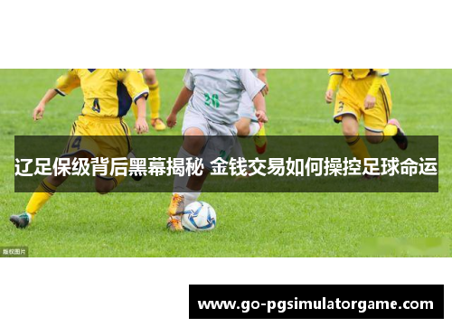 辽足保级背后黑幕揭秘 金钱交易如何操控足球命运