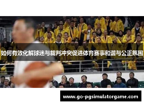 如何有效化解球迷与裁判冲突促进体育赛事和谐与公正氛围 如何有效化解球迷与裁判冲突促进体育赛事和谐与公正氛围
