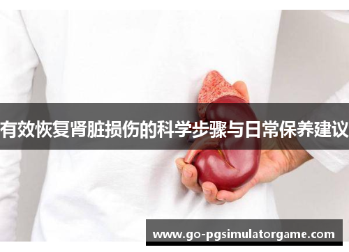 有效恢复肾脏损伤的科学步骤与日常保养建议 有效恢复肾脏损伤的科学步骤与日常保养建议