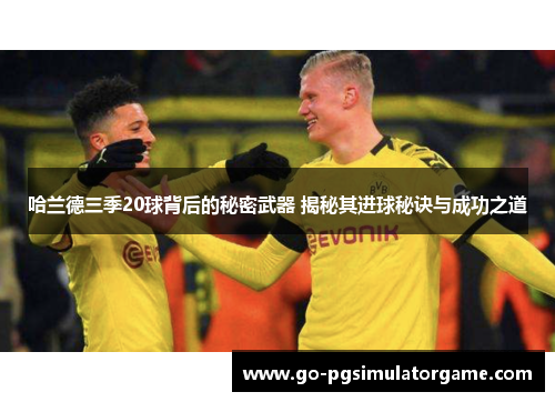 哈兰德三季20球背后的秘密武器 揭秘其进球秘诀与成功之道