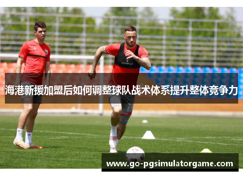 海港新援加盟后如何调整球队战术体系提升整体竞争力 海港新援加盟后如何调整球队战术体系提升整体竞争力