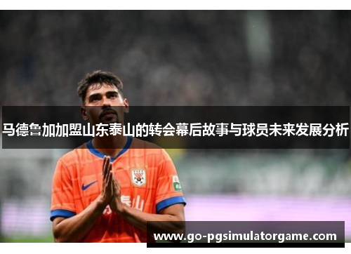 马德鲁加加盟山东泰山的转会幕后故事与球员未来发展分析 马德鲁加加盟山东泰山的转会幕后故事与球员未来发展分析