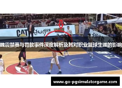 魏震禁赛与罚款事件深度解析及其对职业篮球生涯的影响