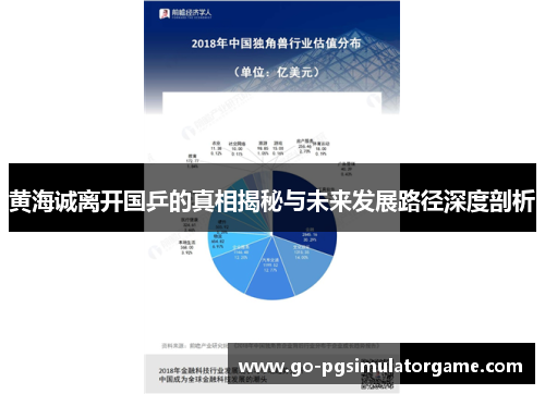 黄海诚离开国乒的真相揭秘与未来发展路径深度剖析