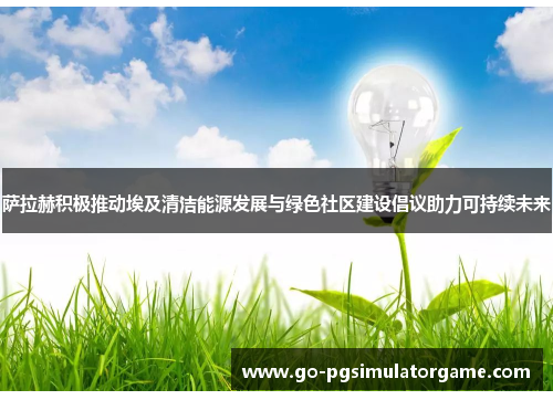 萨拉赫积极推动埃及清洁能源发展与绿色社区建设倡议助力可持续未来