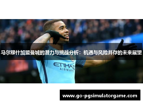 马尔穆什加盟曼城的潜力与挑战分析：机遇与风险并存的未来展望