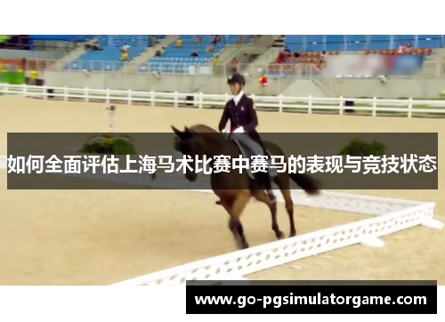 如何全面评估上海马术比赛中赛马的表现与竞技状态