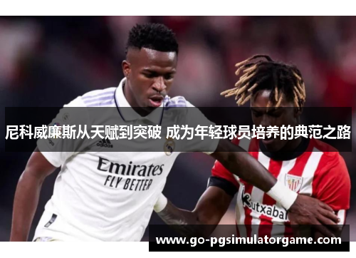 尼科威廉斯从天赋到突破 成为年轻球员培养的典范之路