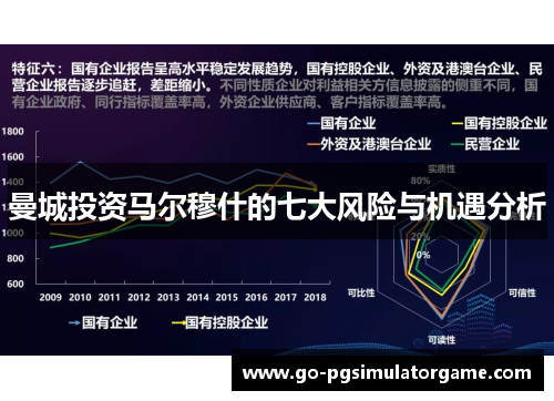 曼城投资马尔穆什的七大风险与机遇分析 曼城投资马尔穆什的七大风险与机遇分析