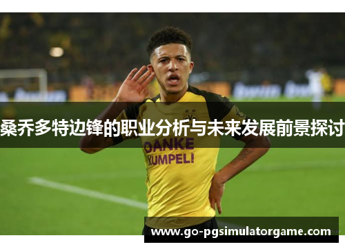 桑乔多特边锋的职业分析与未来发展前景探讨